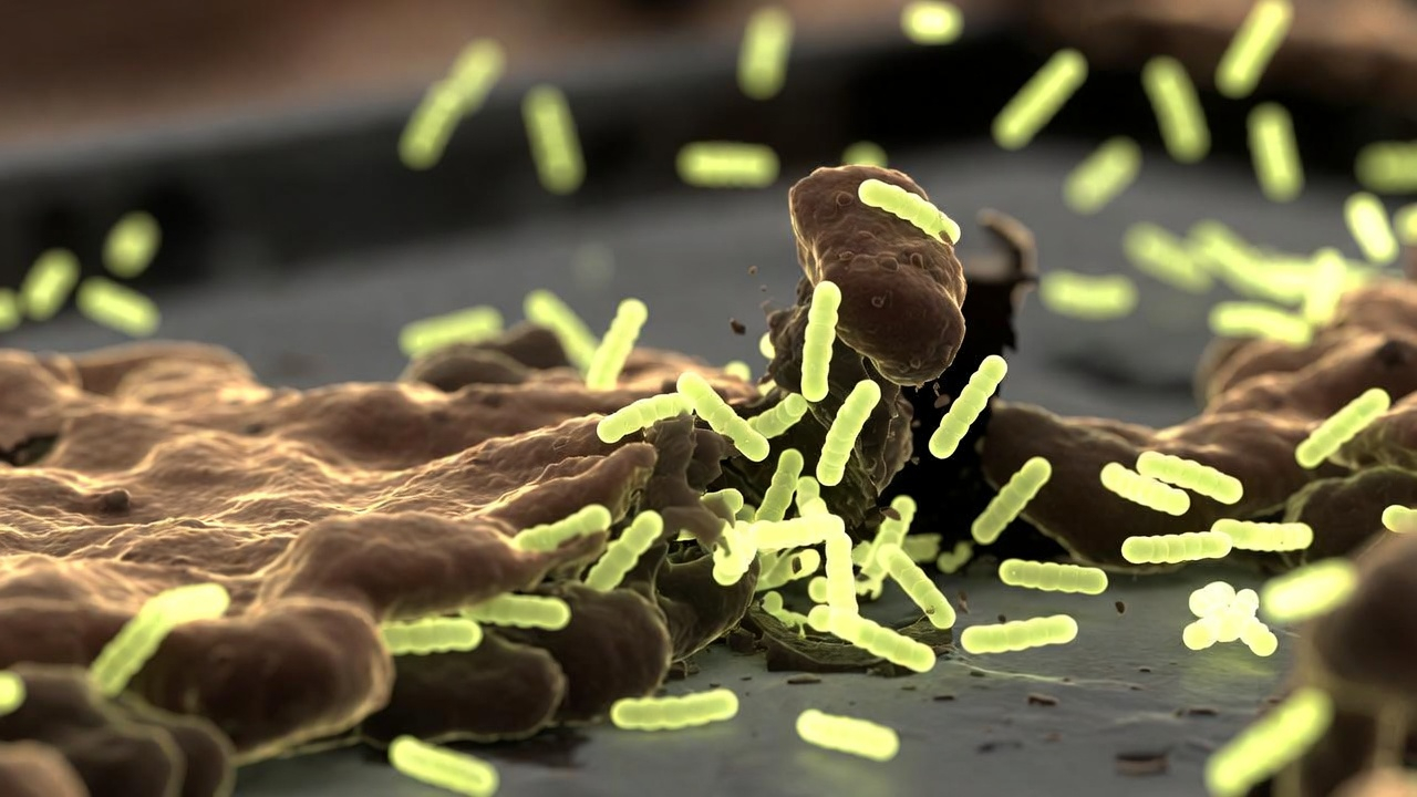 Bacillus probiotic spores glowing and breaking down bacterial biofilm on household surface for natural protection against pathogens